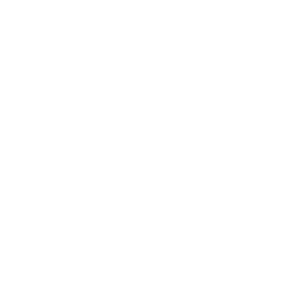 Lou & Lou marketing agency